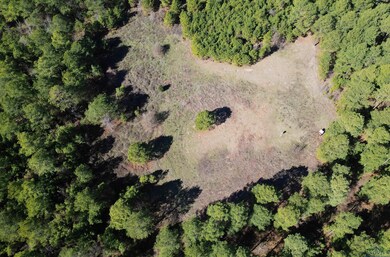 TBD County Road 3217, Atlanta, TX 75551 - photo 7