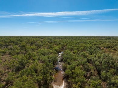 Fm2142, Hamlin, TX 79520 - photo 7