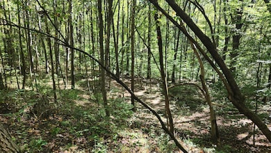 929 Poplar Ridge Rd unit (Ponds Poplar Ridge, Gallipolis, OH 45631 - photo 2