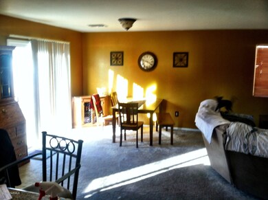 Photo7