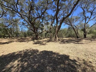 000 Tinkler St, Rock Island, TX 77470 - photo 2