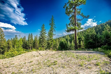 143 Wolf Run Dr, Whitefish, MT 59937 - photo 6