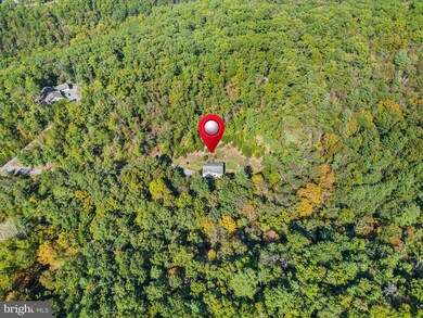 2046 Green Spring Rd, Winchester, VA 22603 - photo 2