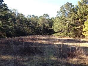 0 Otto Passman Rd, Franklinton, LA 70438 - photo 2