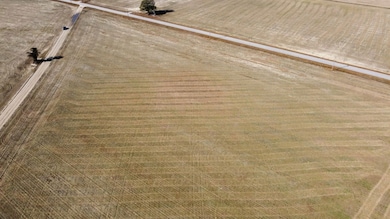 Tbd Shelley Rd, Nichols, SC 29581 - photo 4