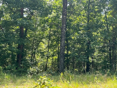 000 Foxfield Rd, Mammoth Spring, AR 72554 - photo 4