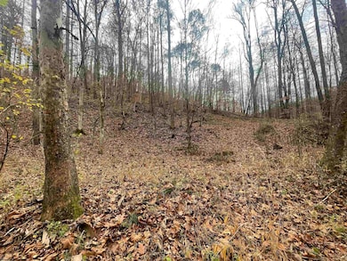 TBD Sand Fork Rd, Walkersville, WV 26447 - photo 3