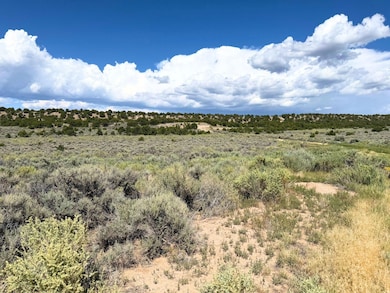 Mc Caskill Rd, Fort Garland, CO 81133 - photo 3