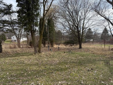 IMG_9931
