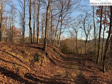 TBD Globe Rd, Lenoir, NC 28645 - photo 4