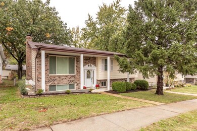 Well Landscaped Yard!