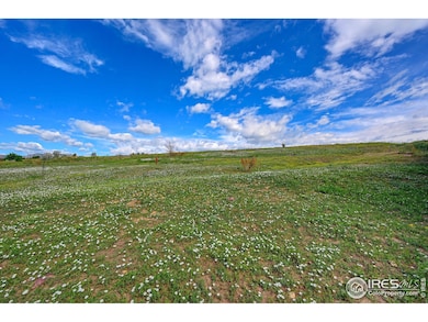 7171 Marshall Dr, Boulder, CO 80303 - photo 3