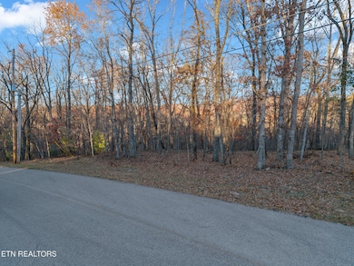 141 & 143 Havenridge Cir, Fairfield Glade, TN 38558 - photo 6