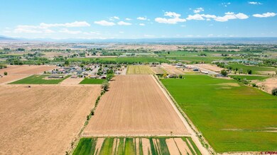 TBD Iris Rd, Austin, CO 81410 - photo 7