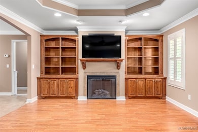 Cistom Built-in Cabinetry