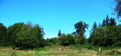 9317 Stein Rd, Custer, WA 98240 - photo 2