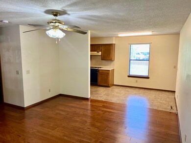 601 E Dyann Dr, Nixa, MO 65714 - photo 6