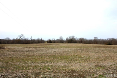 875 W Monroe St, Paris, MO 65275 - photo 2