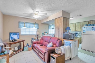 Living area and kitchen