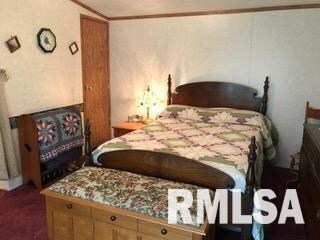 142 W Sylvan St, Virginia, IL 62691 - photo 7
