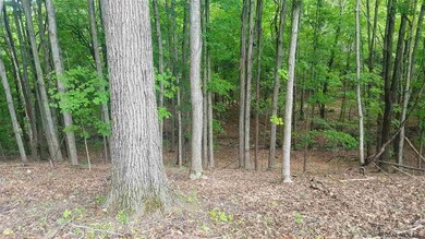 00 Bullock Rd, Slingerlands, NY 12159 - photo 7