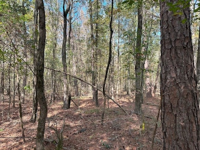 50 Hearthstone Dr, Carlton, GA 30627 - photo 4