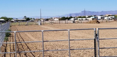 1548 W Lenora Way, San Tan Valley, AZ 85140 - photo 4