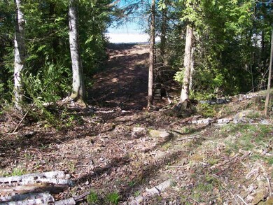Clearing to Beach