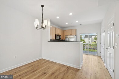 22553 Blue Elder Terrace, Ashburn, VA 20148 - photo 7