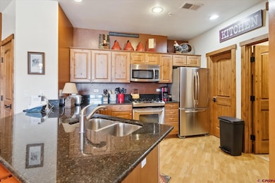545 Skier Place unit 104, Durango, CO 81301 - photo 5