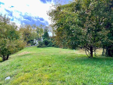 716 Cherry Ave, Charlottesville, VA 22903 - photo 6