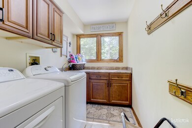 28 Chippewa Dr, Oswego, IL 60543 - photo 7