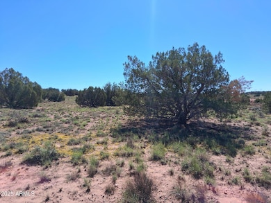 236 County Rd N9226 --, Concho, AZ 85924 - photo 6
