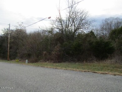 2.12ac Hidden River Ave, Sparta, TN 38583 - photo 4