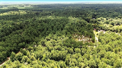 TBD Vance Ln, Nichols, SC 29581 - photo 6