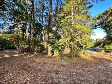 0.23 Mason Dr unit 11, Chincoteague, VA 23336 - photo 2