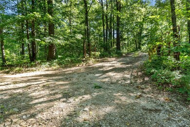 11808 Devils Den Rd, Winslow, AR 72959 - photo 2