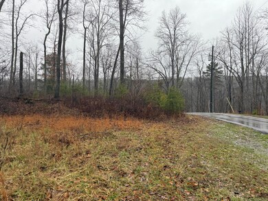 40 Forest Way Cir, Burnside, KY 42519 - photo 6