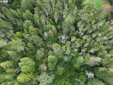 0 Prosper Junction Rd, Bandon, OR 97411 - photo 6