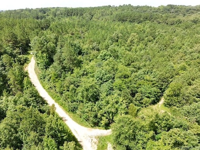 0 Chris Ln unit 25028271, Amity, AR 71921 - photo 4