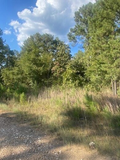 11 Sweet Elm Ln, Broken Bow, OK 74728 - photo 2