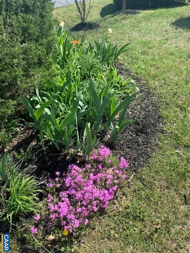 101 Cedar Grove Rd, Ruckersville, VA 22968 - photo 6