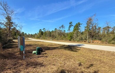 312 Iron Horse Rd, Willis, TX 77358 - photo 6