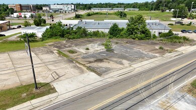 dji_fly_20250501_103906_0137_17461139394