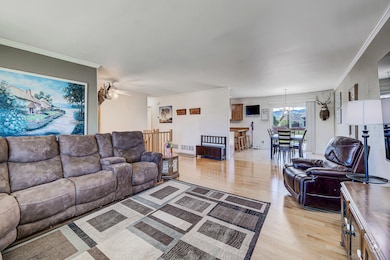 845 Faw Rd, Helena, MT 59602 - photo 5