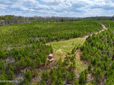 dji_fly_20240305_125948_0041_17096475428