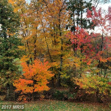 13100 Crossview Ct, Beltsville, MD 20705 - photo 4