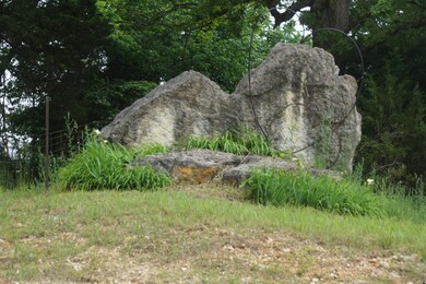 DSC07319