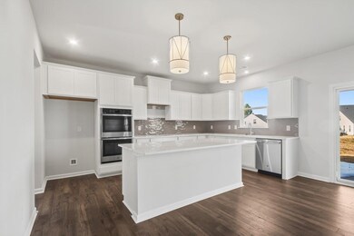 4033 Francis Spring Pkwy, Inman, SC 29349 - photo 3