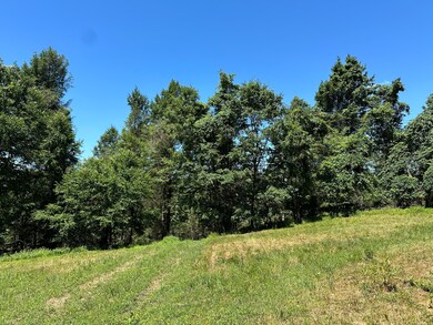 1253 Shawna Rd, Cherry Tree, PA 15724 - photo 3